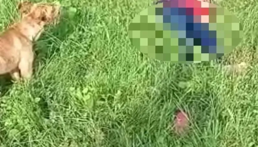 Cuerpo de venezolana fallecida