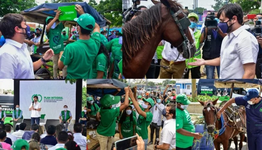 El alcalde Jaime Pumarejo en la nueva fase del plan de sustitución de los carro'e mulas.