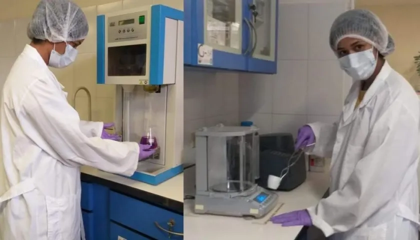 El mijo cuarentano es una especie con alto valor nutricional desaprovechadas en el consumo humano.