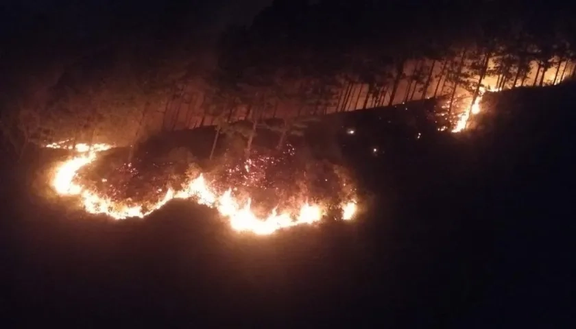 Aspecto del incendio forestal en cerro de Bello.