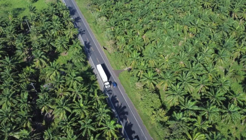 Un tramo de la vía entre San Onofre y Cruz del Viso.