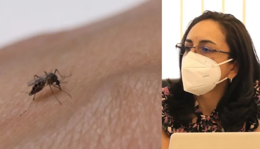 Claudia Cuéllar, subdirectora de Enfermedades Transmisibles del Ministerio de Salud.