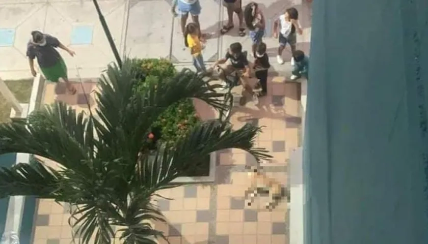 Lanzó un perro desde un sexto piso tras derrota de Colombia