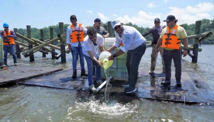 El alcalde Jaime Pumarejo y el director de la CRA, Jesús León, vierten microalgas a la ciénaga de Mallorquín.