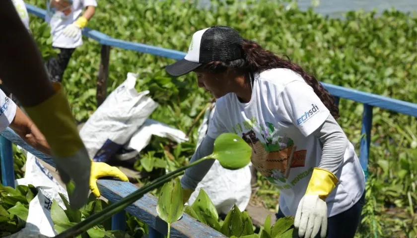 Miembros de la C.R.A.