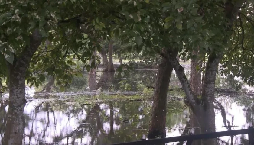 Río Magdalena