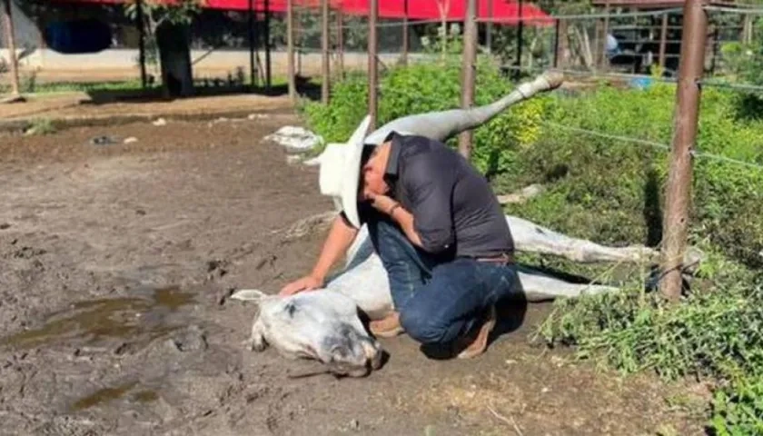 El senador Alirio Barrera llora sobre el cuerpo sin vida de 'Pasaporte'.