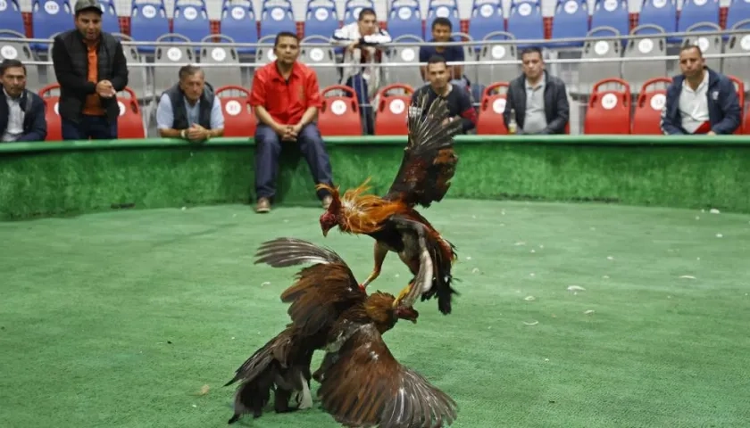 Imagen de referencia.