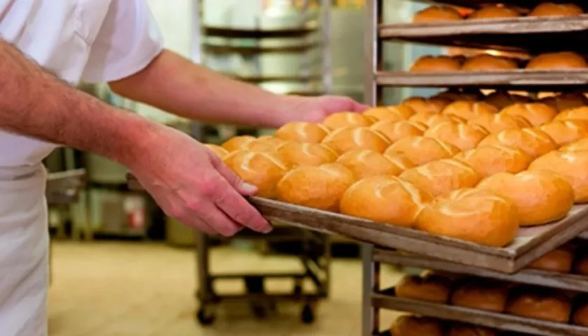 Imagen de referencia