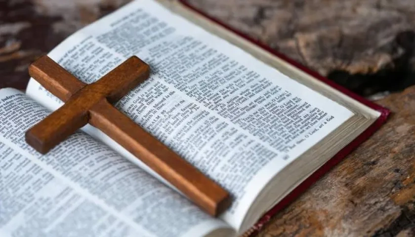 Imagen de referencia