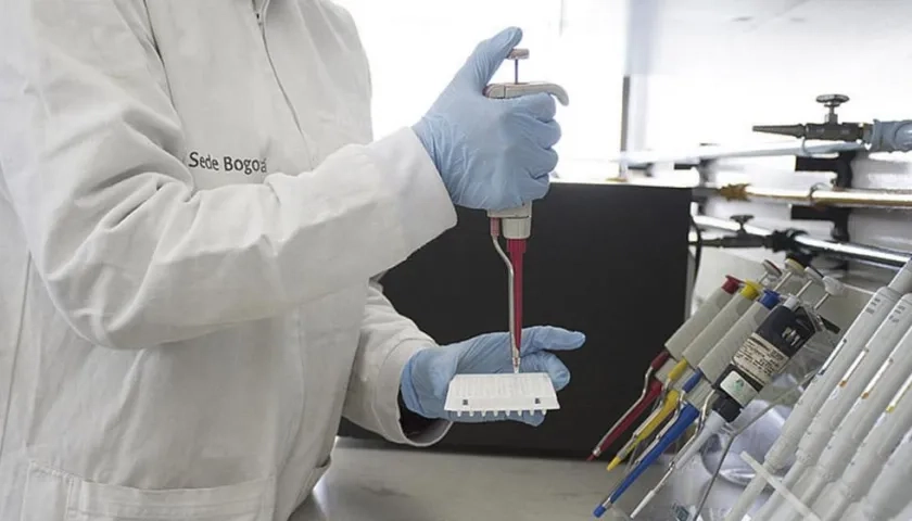 Imagen de referencia.