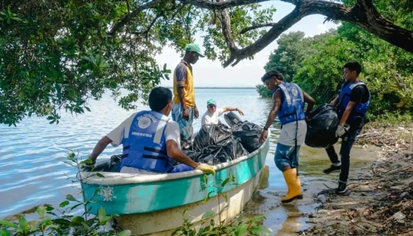 La jornada de extracción de residuos en la Ciénaga de la Virgen.