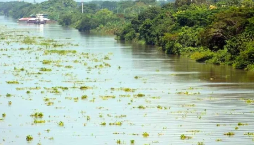 Imagen de referencia.