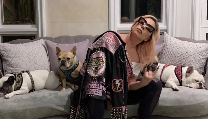 Lady Gaga con sus perros.