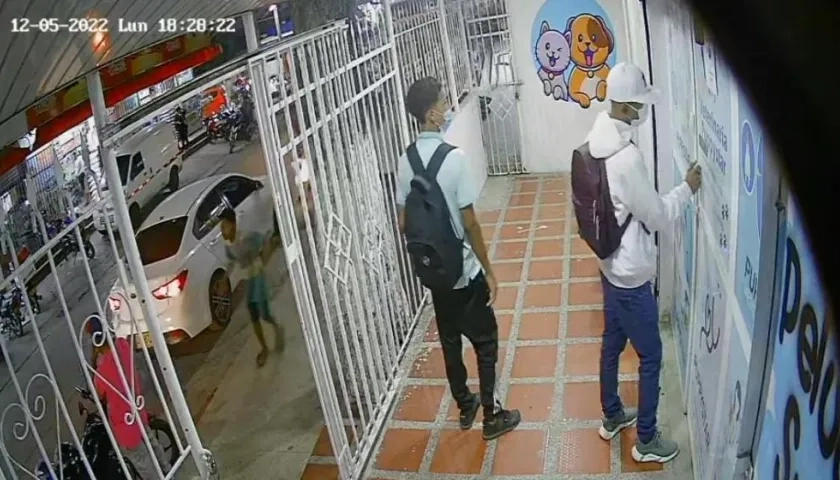 Ladrones asaltando la veterinaria.