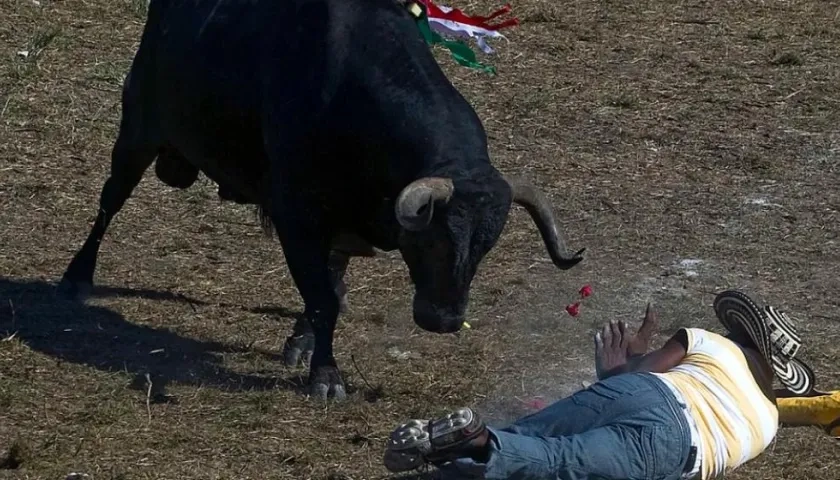 Imagen de referencia.