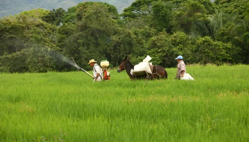 Foto referencia sobre fumigación.