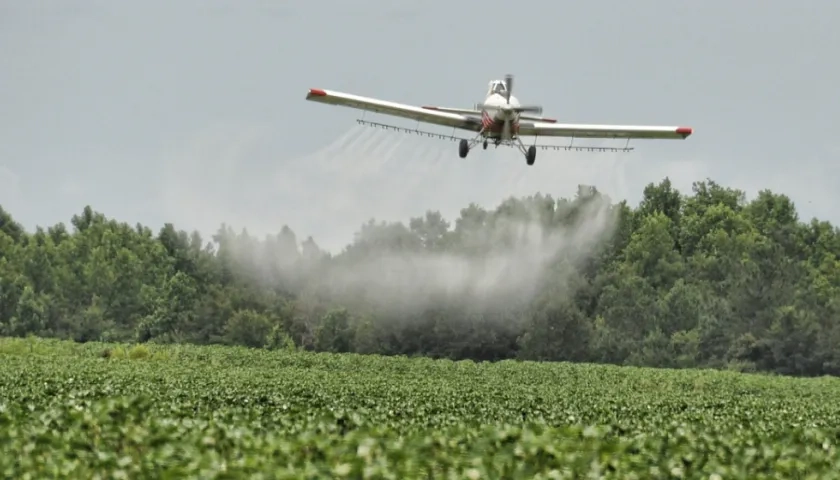 Imagen de referencia.