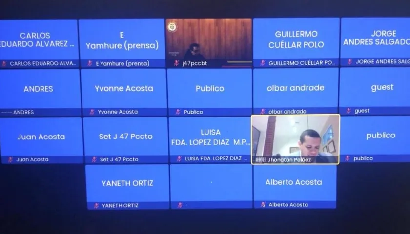 Imagen de la audiencia virtual.