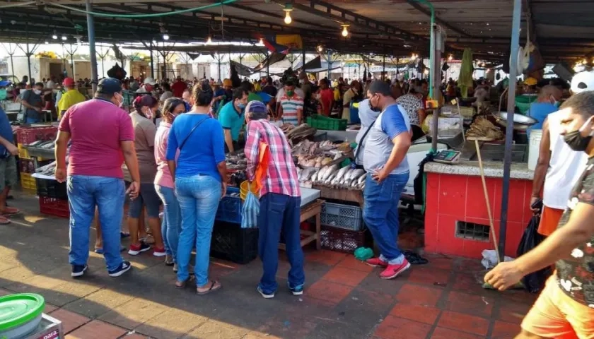 El precio del bocachico tiende a la baja por la mayor oferta del producto.