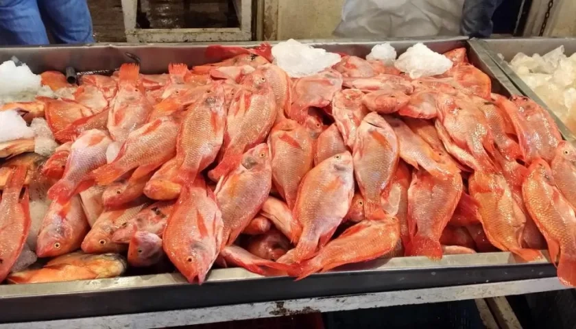 La apetecida tilapia, una de las de mayor consumo en la Semana Santa.