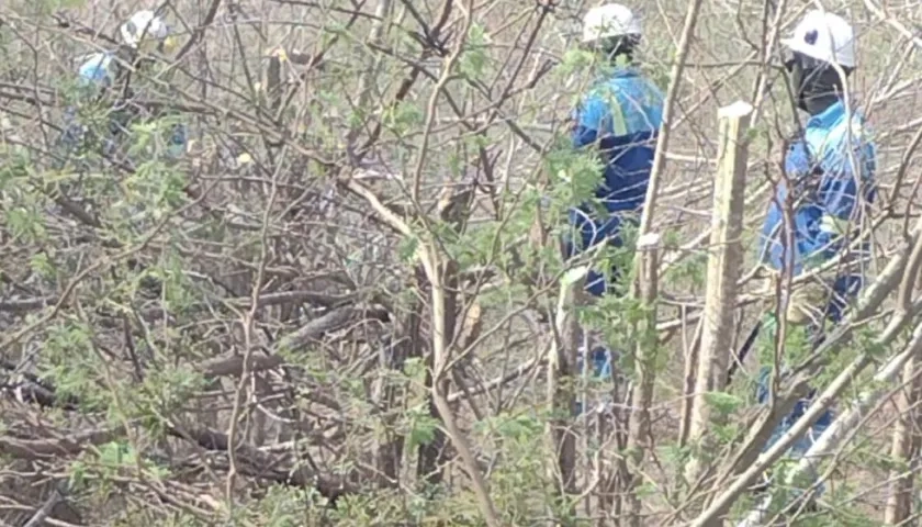 Técnicos de Air-e trabajan en el área rural de Piojó para restaurar el servicio. 
