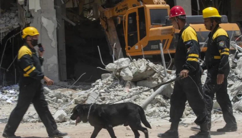  Varios rescatistas conducen a un perro durante las labores de rescate en el destruido hotel Saratoga, que continúan hoy, en La Habana (Cuba). 