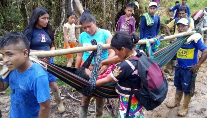 Docente indígena mordida por una serpiente.