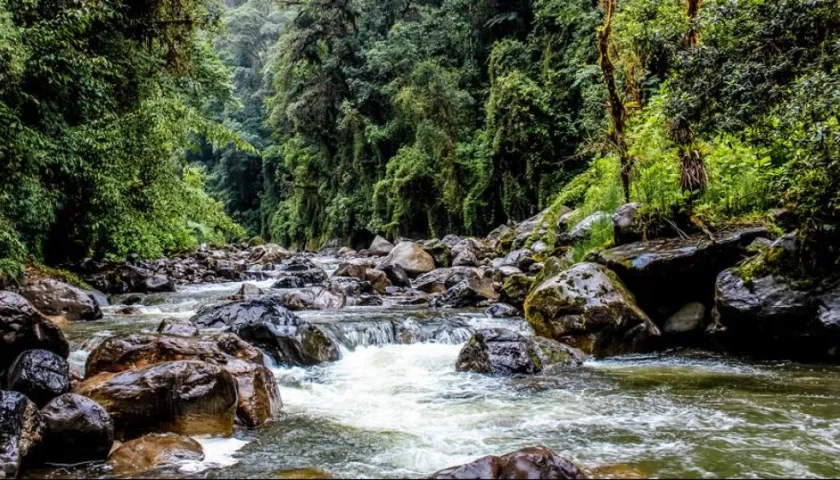Las acciones de mitigación y adaptación serán realizadas por diferentes entidades.