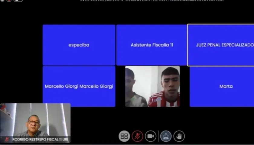 Imagen de la audiencia virtual.