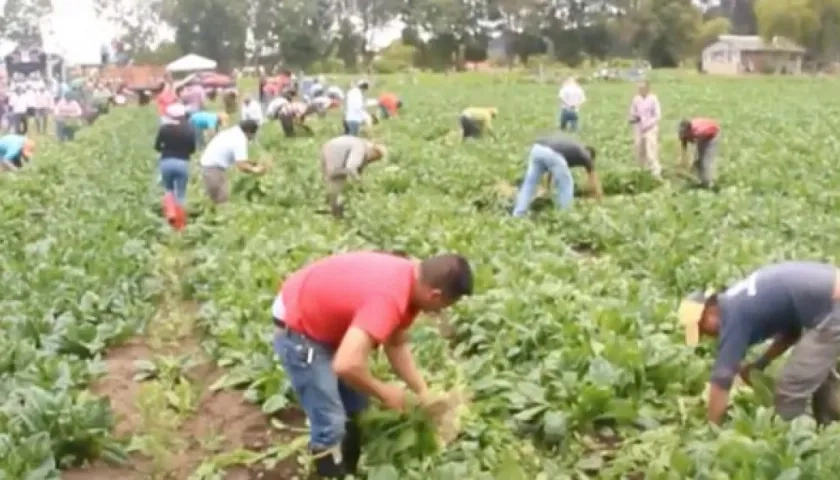 Imagen de referencia.