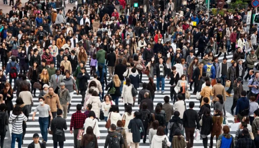 Imagen de referencia.