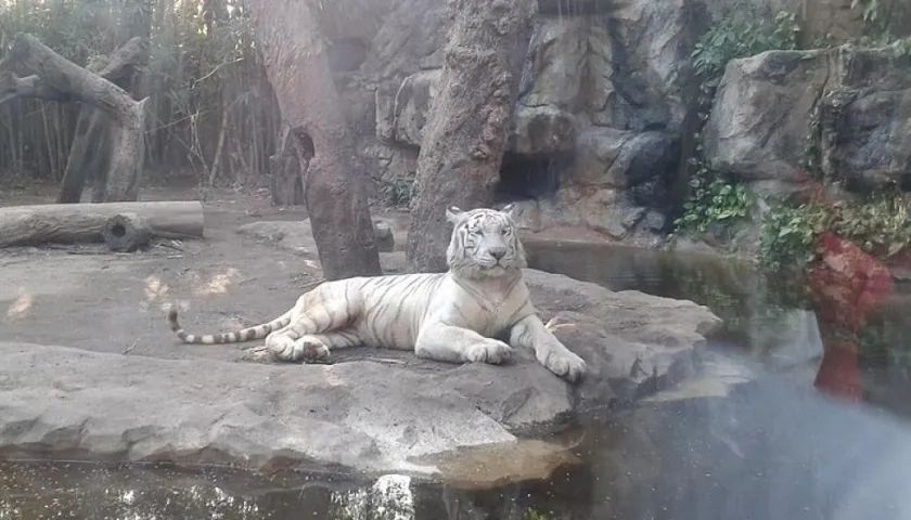 Zoológico de Barranquilla. Imagen de referencia.