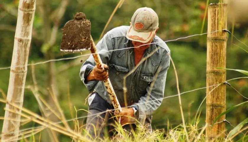 El fallo dejó sin seguridad jurídica los títulos de posesión o pertenencia de terrenos baldíos o predios rurales reconocidos por jueces de la República.
