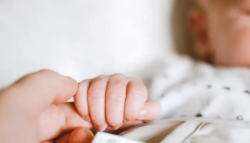 Imagen de referencia.