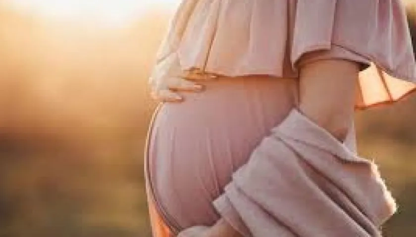 Imagen de referencia