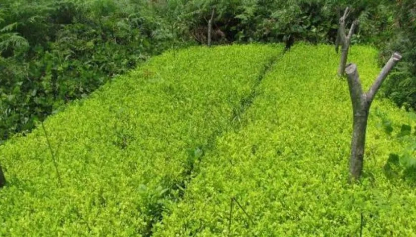 Imagen de referencia.