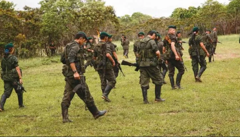 Imagen de referencia.