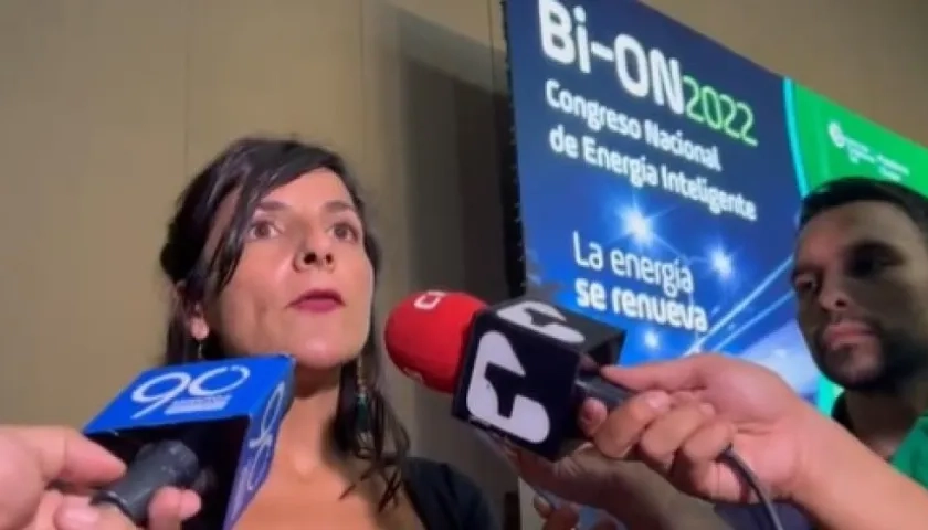 Irina Vélez, Ministra de Minas