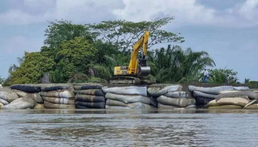 'Cara de gato', imagen de referencia.