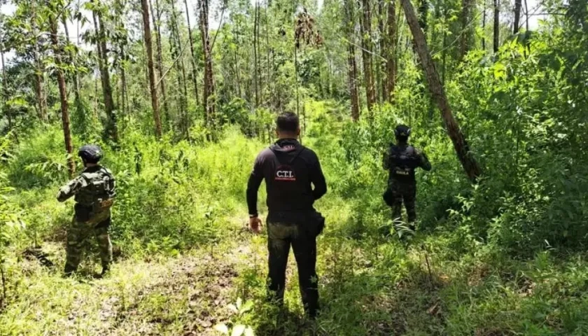 Predio ocupado para la extinción de dominio.