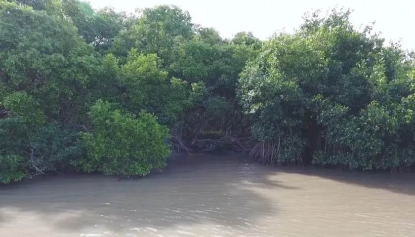 Ciénaga de Mallorquín.