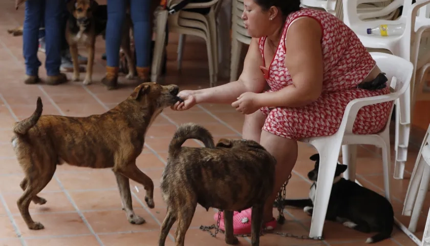 Ana Cristina Martínez juega con sus perros.