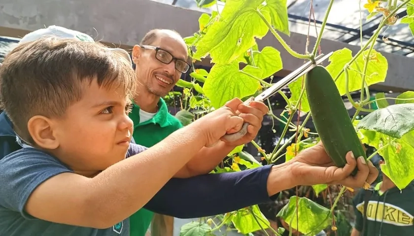 Un niño recogiendo cosecha en un huerto casero.