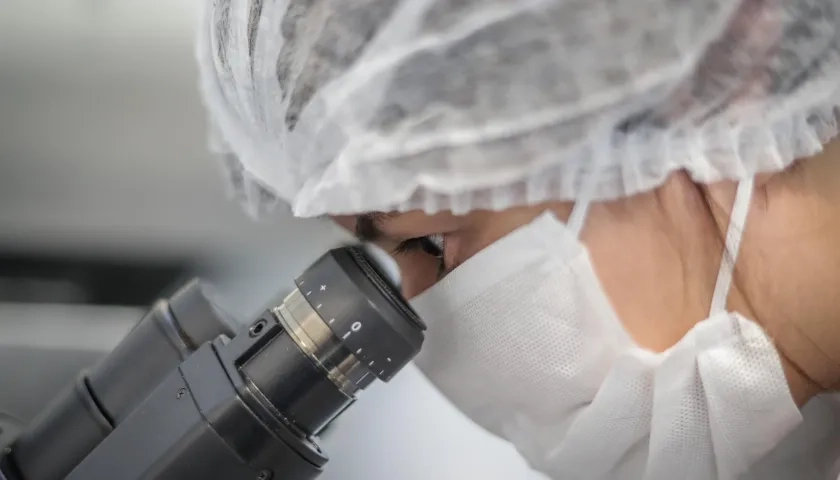 En la imagen de archivo, un investigador utiliza el microscopio para observación. 