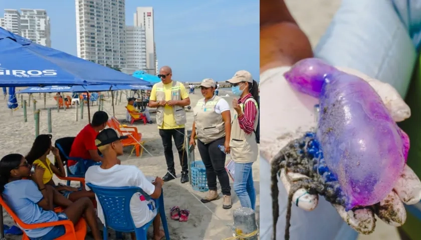 El EPA en Cartagena adelantó pedagogía sobre la 'fragata portuguesa' en las playas.