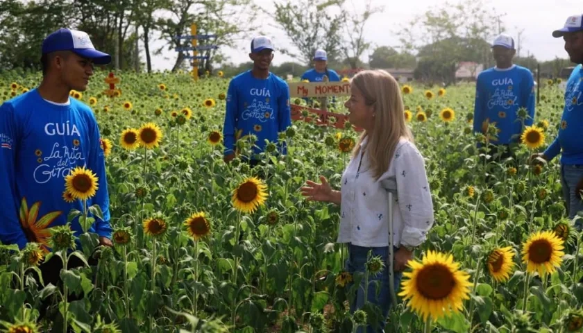 La Gobernadora Elsa Noguera visitó el campo de girasoles en Sabanalarga