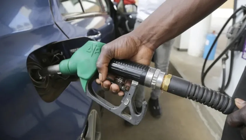 Imagen de referencia.