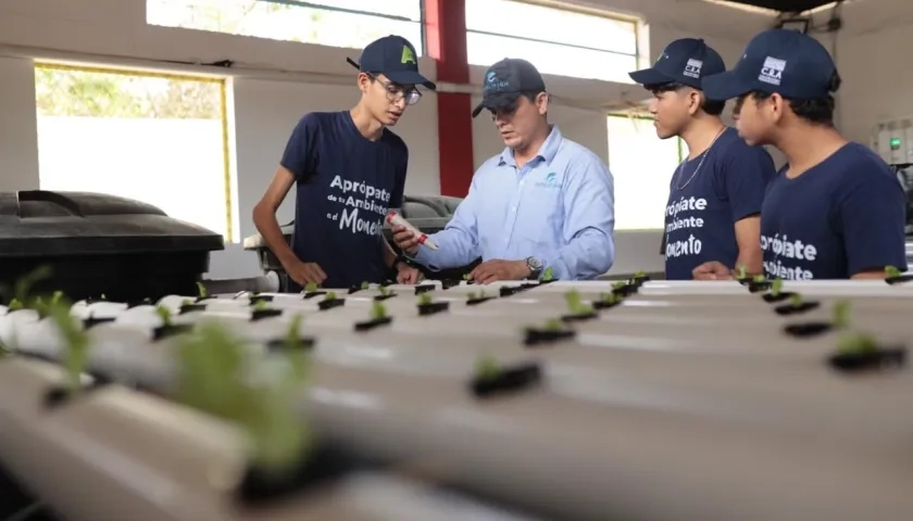 Estudiantes de las instituciones educativas.