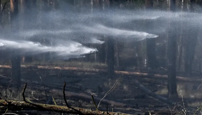 Incendios forestales. 